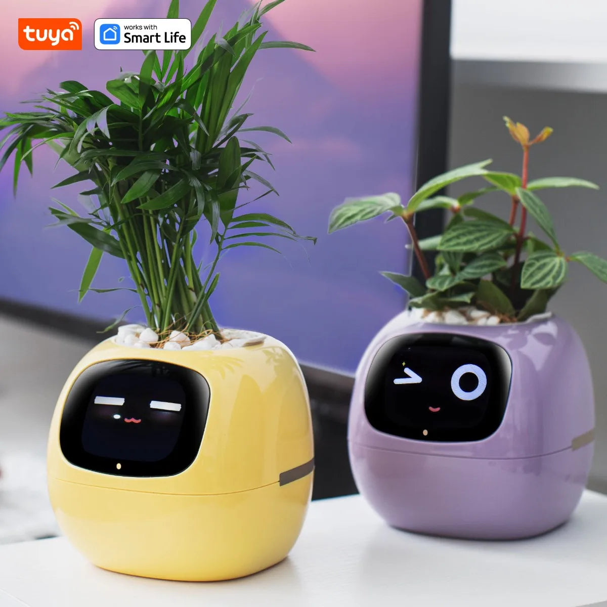 Tuya Smart Life Planter,Endless Fun Over 49 Rich Expressions,7 smart sensors,AI Chips Make Raising Plants Easy and Fun - Indentory