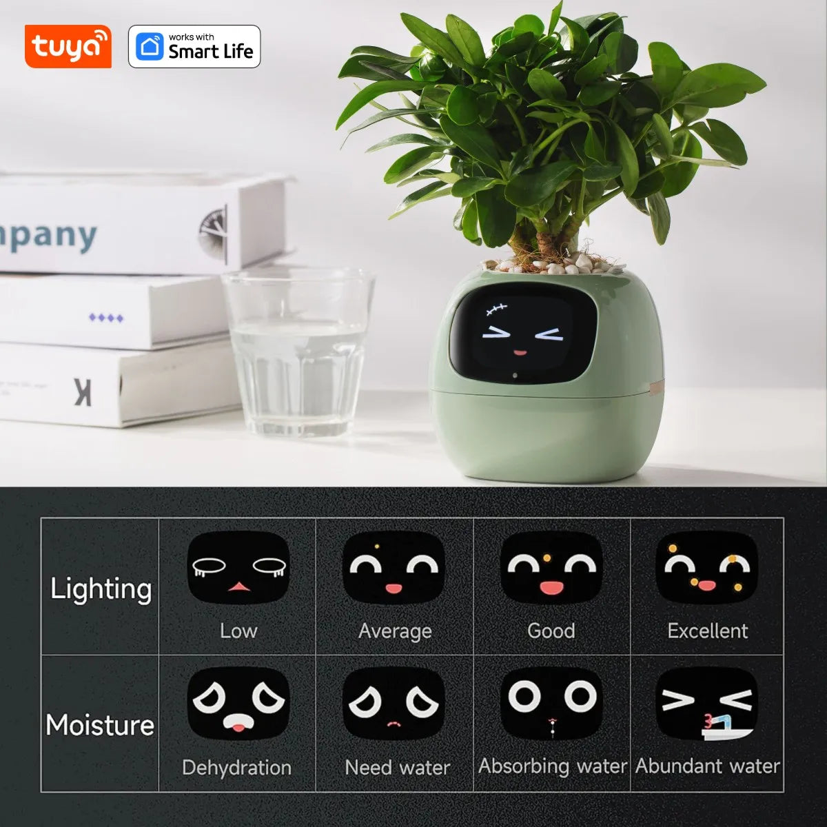 Tuya Smart Life Planter,Endless Fun Over 49 Rich Expressions,7 smart sensors,AI Chips Make Raising Plants Easy and Fun - Indentory